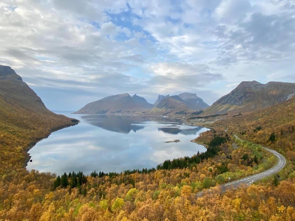 Ferrytale, Cozy, Spacious House On Senja Gryllefjord Exterior foto