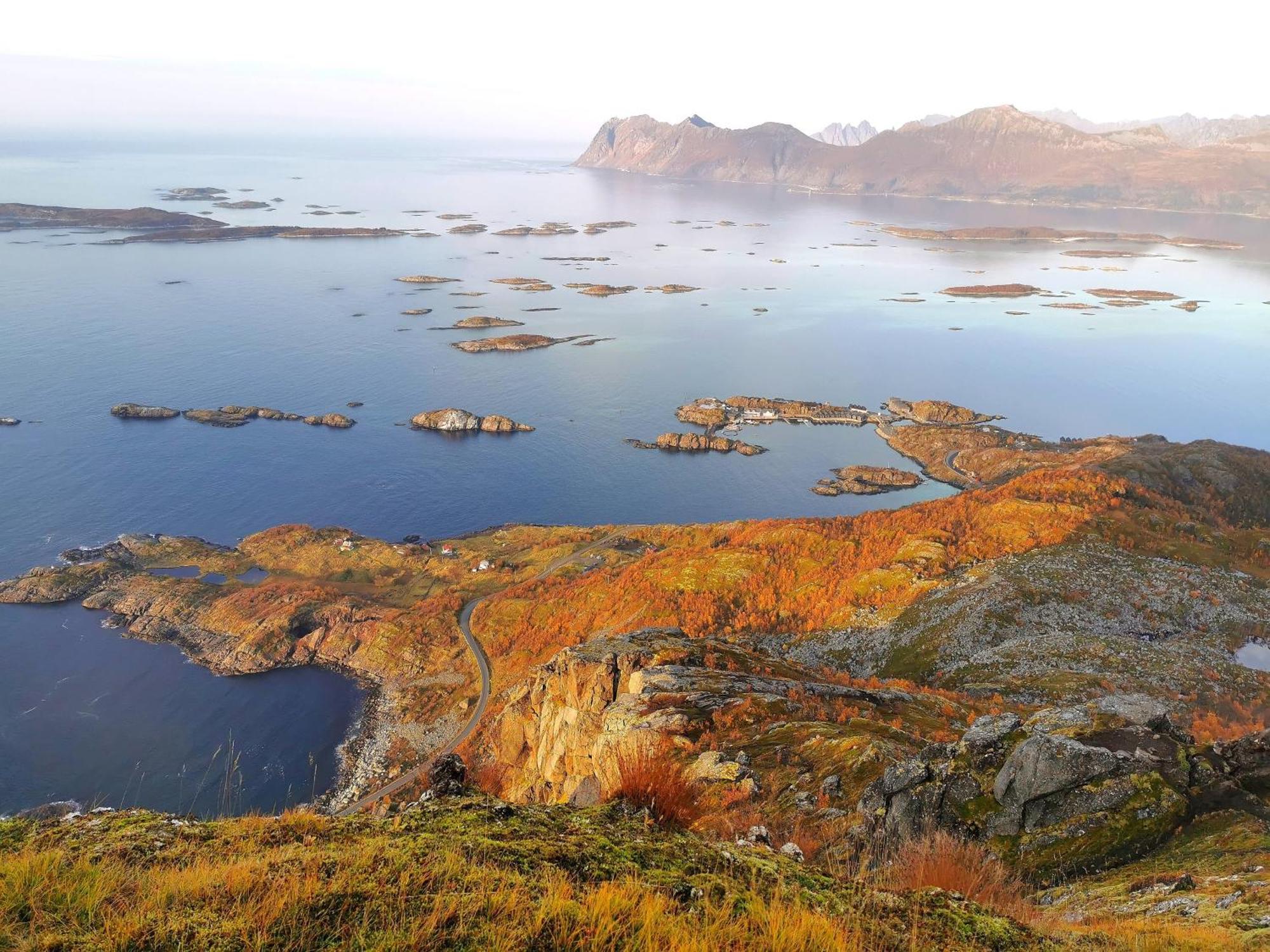 Ferrytale, Cozy, Spacious House On Senja Gryllefjord Exterior foto