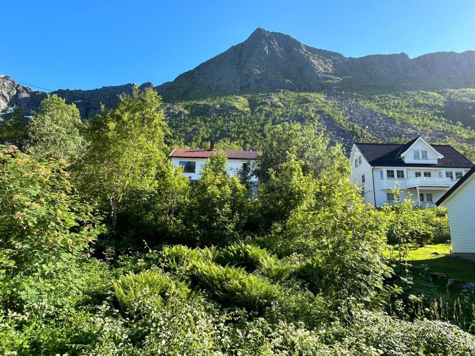 Ferrytale, Cozy, Spacious House On Senja Gryllefjord Exterior foto